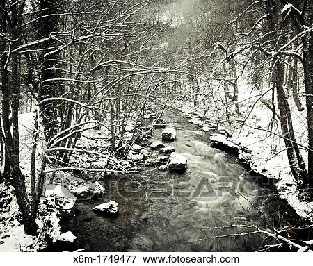 Stock Photo - Baias river Gorbeia Natural Park, Alava, Basque Country, Spain. Fotosearch