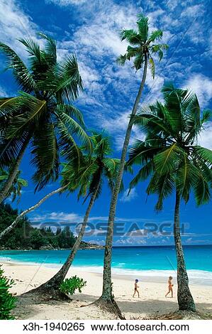 Baie Intendance beach, Mahe island, Republic of Seychelles, Indian Ocean View Large Photo Image Stock Photography - Baie Intendance beach, Mahe island, Republic of Seychelles, Indian Ocean. Fotosearch