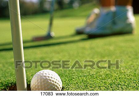 Ball in hole while putting View Large Photo Image Stock Image - Ball in hole while putting. Fotosearch