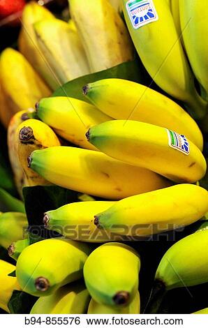 Stock Photograph - Bananas at La Boqueria market, Barcelona. Catalonia, Spain. Fotosearch