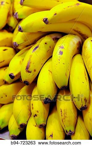 Bananas for sale at La Boqueria market, Barcelona. Catalonia, Spain View Large Photo Image Stock Image - Bananas for sale at La Boqueria market, Barcelona. Catalonia, Spain. Fotosearch