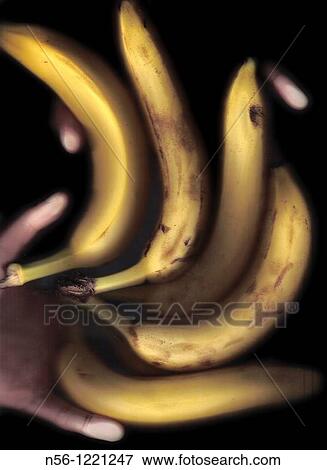 Stock Photo - Bananas. Fotosearch
