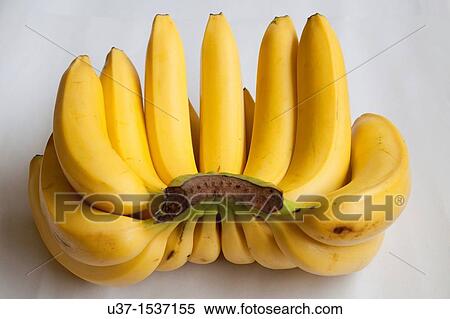 Bananas View Large Photo Image Stock Photography - Bananas. Fotosearch