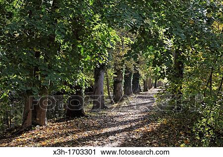 banks of the Eure river, Maintenon, Eure-et-Loir department, Centre region, France, Europe View Large Photo Image Stock Image - banks of the Eure river, Maintenon, Eure-et-Loir department, Centre region, France, Europe. Fotosearch