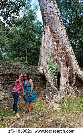 Stock Photography - Banyan tree overgrown over anciset walls temple with women tourists at Ta Prohm near Anglor Wat in Siem Reap Cambodia Asia. Fotosearch