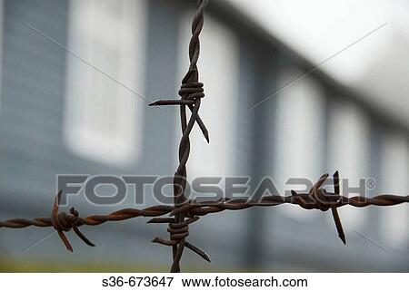 Barb wire at the Natzweiler - Struthof camp in Alsace (France) run by the German occupation during WWII View Large Photo Image Stock Photo - Barb wire at the Natzweiler - Struthof camp in Alsace (France) run by the German occupation during WWII. Fotosearch
