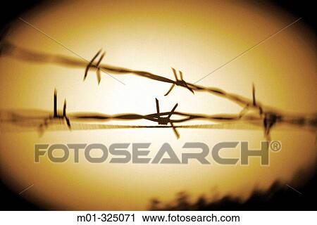 Barb-wire View Large Photo Image Stock Image - Barb-wire. Fotosearch
