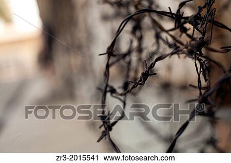 Barbed wire at the Toul Sleng Genocide Museum in Phnom Penh, Cambodia. View Large Photo Image Stock Image - Barbed wire at the Toul Sleng Genocide Museum in Phnom Penh, Cambodia.. Fotosearch