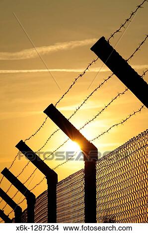 Barbed wire fence with sunset. El Prat del Llobregat, Baix Llobregat, Barcelona, Catalonia, Spain. View Large Photo Image Picture - Barbed wire fence with sunset. El Prat del Llobregat, Baix Llobregat, Barcelona, Catalonia, Spain.. Fotosearch
