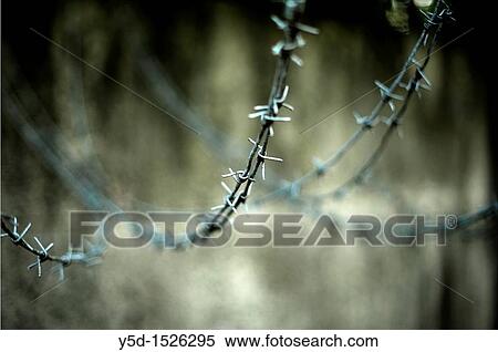 Barbed wire View Large Photo Image Stock Photography - Barbed wire. Fotosearch