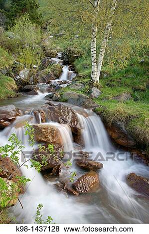 Barranco de los Orieles Gistain Valley Pyrenees Aragon Spain Huesca View Large Photo Image Stock Photo - Barranco de los Orieles Gistain Valley Pyrenees Aragon Spain Huesca. Fotosearch