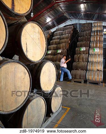 barrels in Courtyard at La Perseverancia, Tequila Sauza's distillery. View Large Photo Image Stock Photo - barrels in Courtyard at La Perseverancia, Tequila Sauza's distillery.. Fotosearch