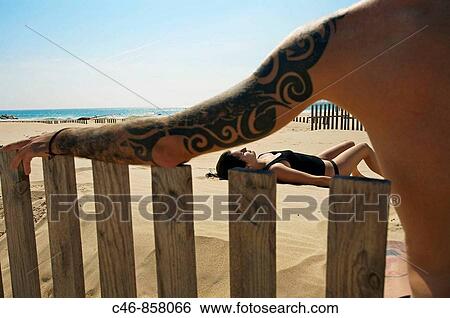 Stock Photograph - Barriers against moving dunes, Tarifa. Cadiz province, Andalusia, Spain. Fotosearch