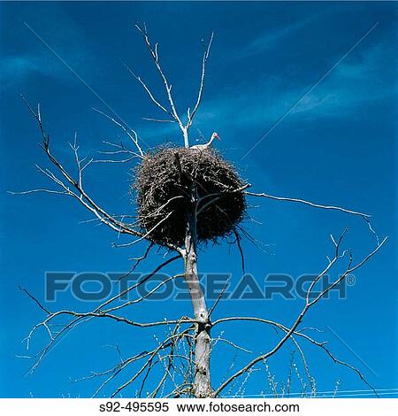 Barrio San Pedro. Palencia province. Spain. View Large Photo Image Stock Photography - Barrio San Pedro. Palencia province. Spain.. Fotosearch