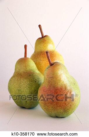 Bartlett pears (Pyrus communis). California, USA View Large Photo Image Stock Image - Bartlett pears (Pyrus communis). California, USA. Fotosearch