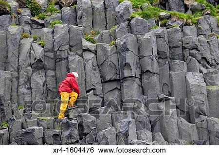 Basalt columns at Dyrholaey, Reynisdrangar, Vik i Myrdal, Iceland View Large Photo Image Stock Photograph - Basalt columns at Dyrholaey, Reynisdrangar, Vik i Myrdal, Iceland. Fotosearch