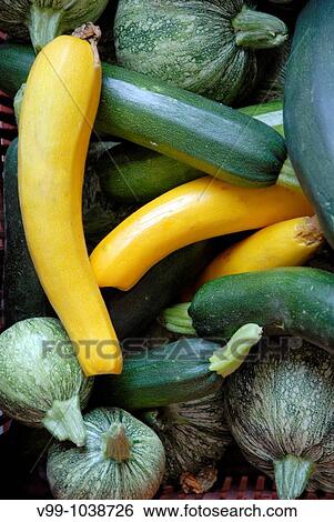 basket of vegetables View Large Photo Image Stock Photograph - basket of vegetables. Fotosearch