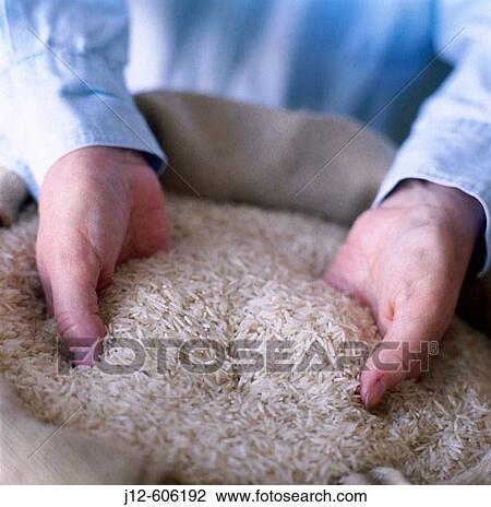 Basmati rice bag View Large Photo Image Stock Image - Basmati rice bag. Fotosearch