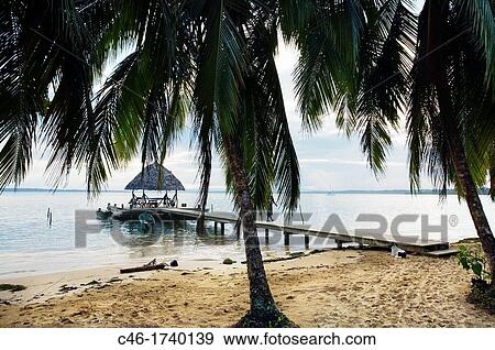 Bastimentos island, Bocas del Toro province, Caribbean sea, Panama. View Large Photo Image Stock Photo - Bastimentos island, Bocas del Toro province, Caribbean sea, Panama.. Fotosearch