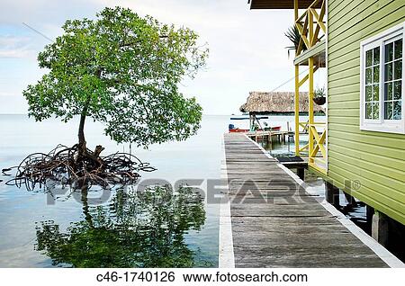 Stock Photograph - Bastimentos island, Bocas del Toro province, Caribbean sea, Panama.. Fotosearch