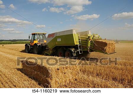 Stock Photo - Bauer on the straw presses the field. Fotosearch