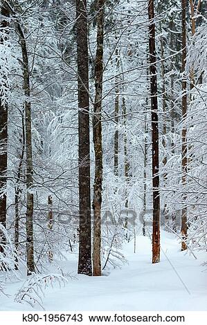 Stock Image - Bavaria, Germany, Europe.. Fotosearch