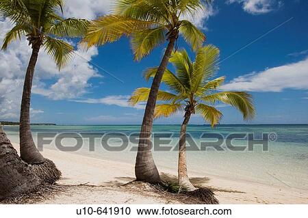 Stock Image - Bavaro beach, Punta Cana, Dominican Republic. Fotosearch