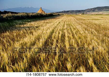 Stock Photo - BBrdena Blanca, BBrdenas Reales, Navarre, Spain. Fotosearch