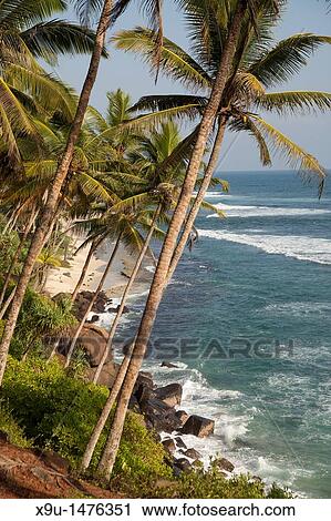 Stock Image - beach and coast near Mirissa, Sri Lanka. Fotosearch