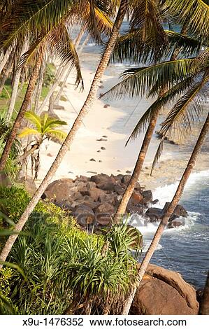 beach and coast near Mirissa, Sri Lanka View Large Photo Image Stock Image - beach and coast near Mirissa, Sri Lanka. Fotosearch