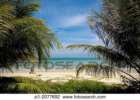 beach at Koh Phangan, Thailand View Large Photo Image Stock Image - beach at Koh Phangan, Thailand. Fotosearch