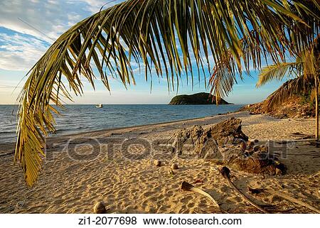 beach at Koh Phangan, Thailand View Large Photo Image Stock Photo - beach at Koh Phangan, Thailand. Fotosearch