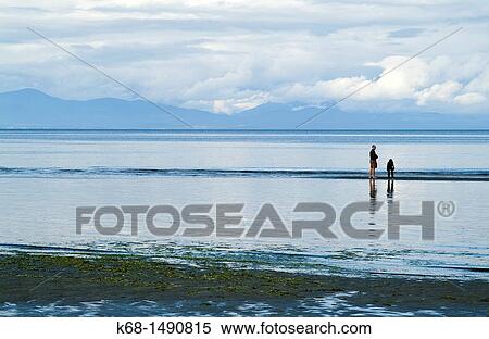 Stock Photography - beach at Rathtrevor Provincial Park, Vancouver Island, BC, Canada, near the town of Parksville. Fotosearch