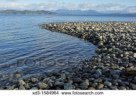 beach at Rebecca Spit Provincial Park, Quadra Island, British Columbia, Canada View Large Photo Image Picture - beach at Rebecca Spit Provincial Park, Quadra Island, British Columbia, Canada. Fotosearch