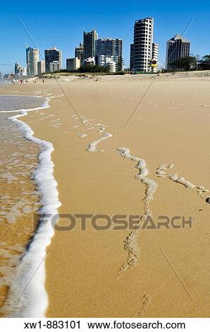 Beach at Surfers Paradise, Gold Coast, Queensland, Australia View Large Photo Image Stock Image - Beach at Surfers Paradise, Gold Coast, Queensland, Australia. Fotosearch