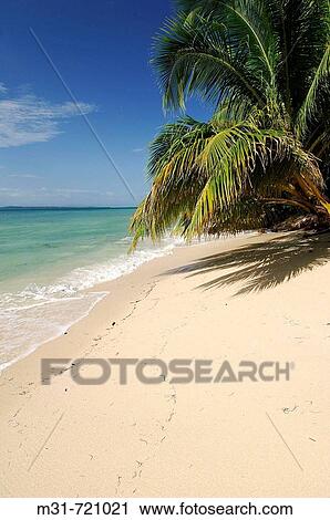 Beach at Zapatilla key, Bastimentos marine Park, Bocas del Toro islands, Rep. of PanamB, Central America. 2005 View Large Photo Image Stock Image - Beach at Zapatilla key, Bastimentos marine Park, Bocas del Toro islands, Rep. of PanamB, Central America. 2005. Fotosearch