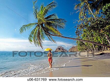 Beach comber. Costa Rica View Large Photo Image Stock Photo - Beach comber. Costa Rica. Fotosearch