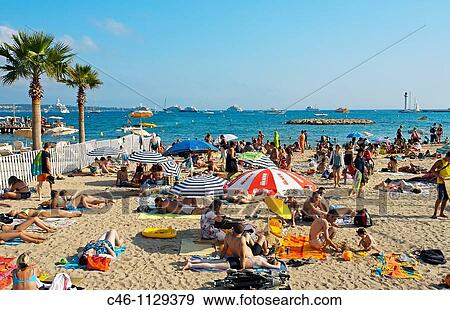 Beach. Croisette Avenue. Cannes. Alpes-Maritimes. French Riviera. Provence. France. View Large Photo Image Stock Photo - Beach. Croisette Avenue. Cannes. Alpes-Maritimes. French Riviera. Provence. France.. Fotosearch