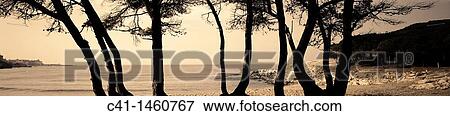 Stock Photo - Beach Empuries Costa Brava, Girona, Spain. Fotosearch