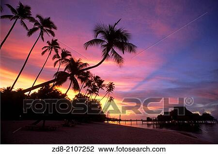 beach in bora bora. polinesia. View Large Photo Image Stock Image - beach in bora bora. polinesia.. Fotosearch