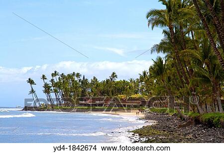 Beach in Hana cost, Maui Island, Hawaii, USA View Large Photo Image Picture - Beach in Hana cost, Maui Island, Hawaii, USA. Fotosearch