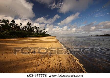 Beach in the island of Tonga South Pacific View Large Photo Image Stock Photo - Beach in the island of Tonga South Pacific. Fotosearch