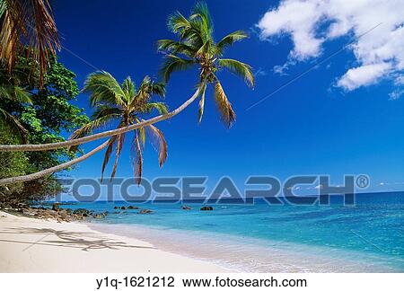 Beach, Kadavu, Fiji View Large Photo Image Stock Image - Beach, Kadavu, Fiji. Fotosearch