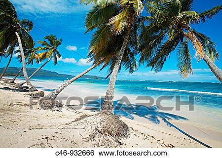 Beach. Las Galeras. Samana Peninsula. Dominican Republic. West Indies. Caribbean. View Large Photo Image Stock Photograph - Beach. Las Galeras. Samana Peninsula. Dominican Republic. West Indies. Caribbean.. Fotosearch