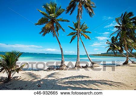 Beach. Las Galeras. Samana Peninsula. Dominican Republic. West Indies. Caribbean. View Large Photo Image Stock Photography - Beach. Las Galeras. Samana Peninsula. Dominican Republic. West Indies. Caribbean.. Fotosearch