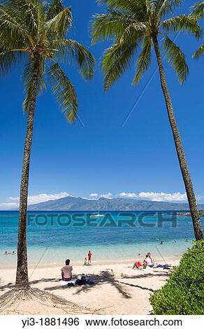 Beach, Maui, Hawaii View Large Photo Image Stock Photograph - Beach, Maui, Hawaii. Fotosearch