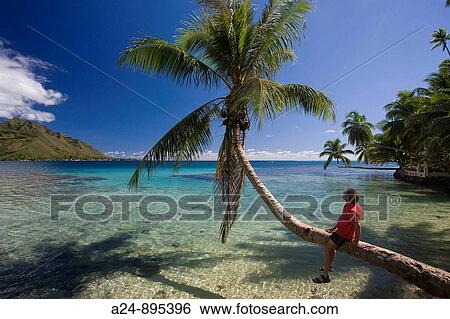 Beach, Moorea, Society Islands, French Polynesia (May, 2009) View Large Photo Image Stock Photograph - Beach, Moorea, Society Islands, French Polynesia (May, 2009). Fotosearch