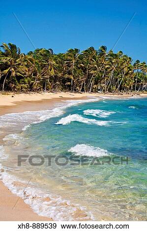 Stock Photo - Beach near Garret Point, Little Corn Island, Corn Islands, Nicaragua. Fotosearch