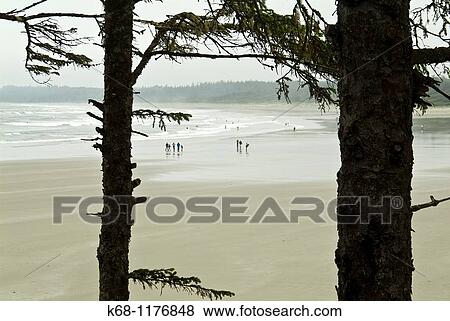 Stock Photo - beach near Tofino, West Coast, Vancouver Island, British Columbia, Canada. Fotosearch