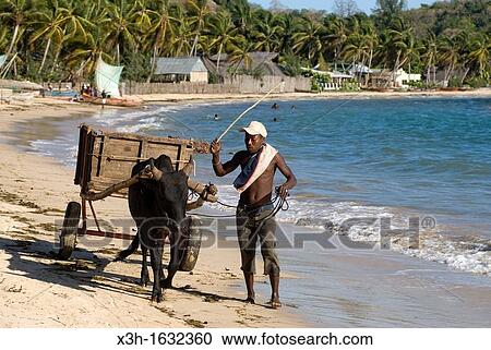beach of Ambatoloaka, Nosy Be island, Republic of Madagascar, Indian Ocean View Large Photo Image Stock Image - beach of Ambatoloaka, Nosy Be island, Republic of Madagascar, Indian Ocean. Fotosearch
